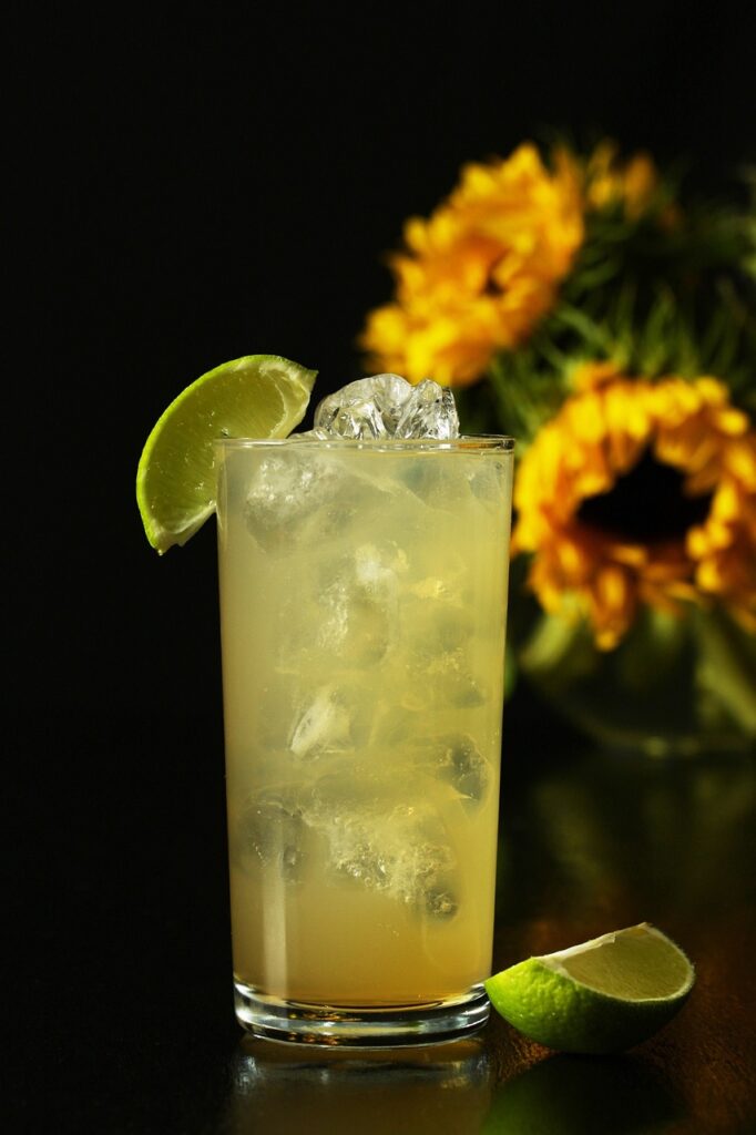gin and ginger ale, cocktail, ginger ale-4478226.jpg